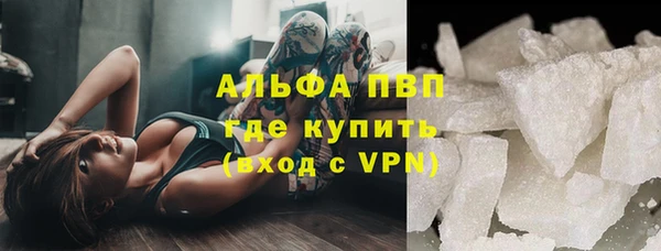 СК Алзамай