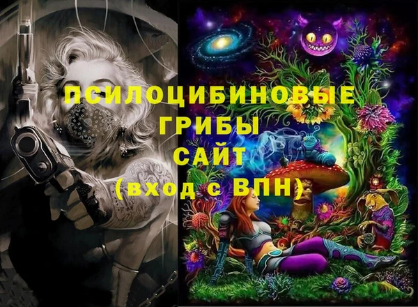СК Алзамай