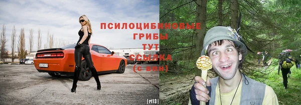 ALPHA-PVP Алексеевка