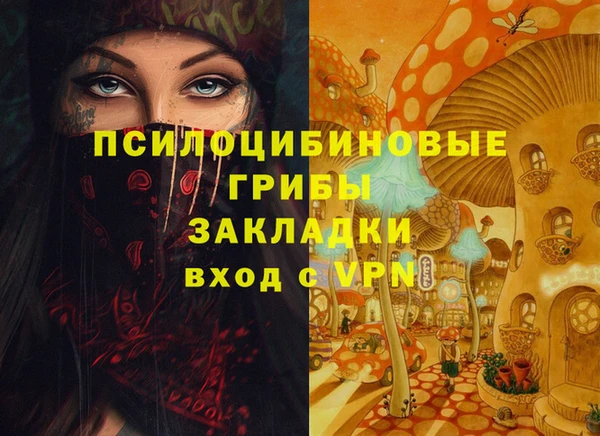 СК Алзамай