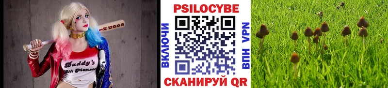 Псилоцибиновые грибы мицелий Балашов