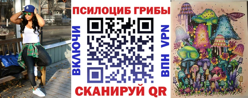 купить наркотики сайты  Балашов  блэк спрут ССЫЛКА  Псилоцибиновые грибы прущие грибы 